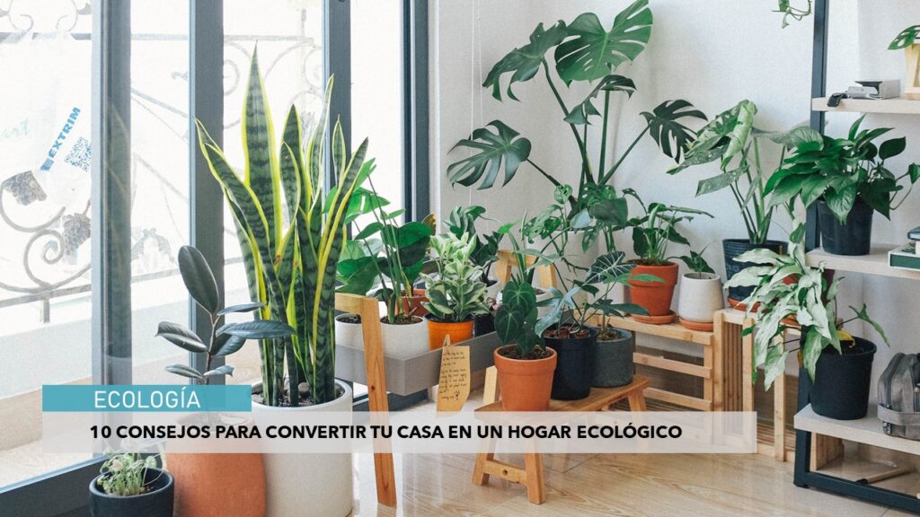 CASA ECOLOGICA
