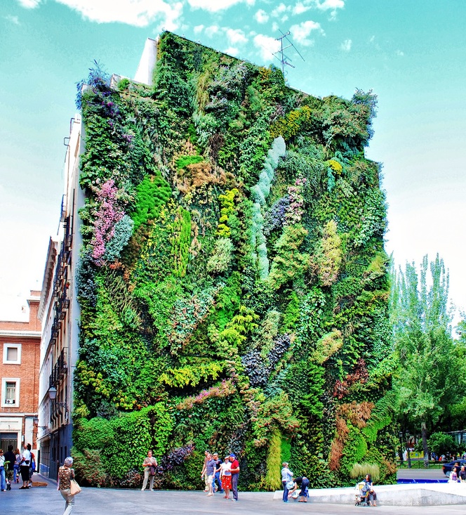 muro verde en un edificio