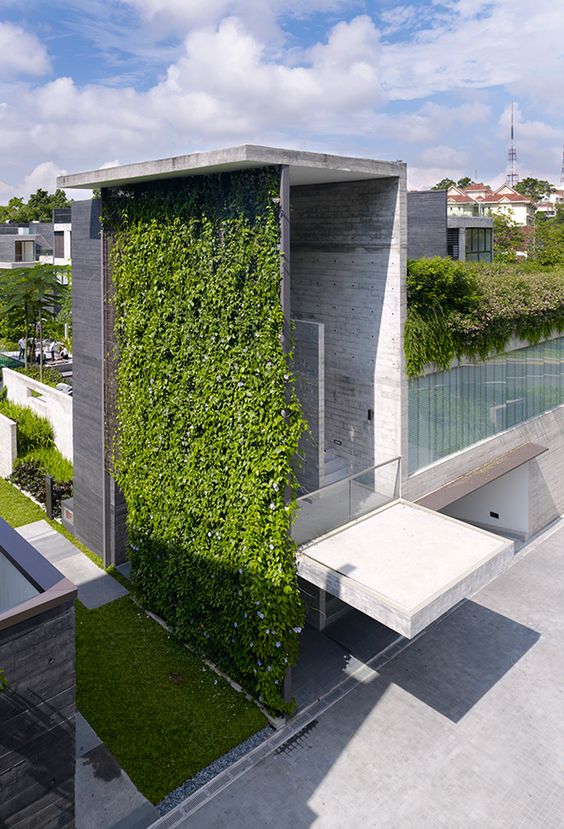 muro verde en una casa con concreto aparente