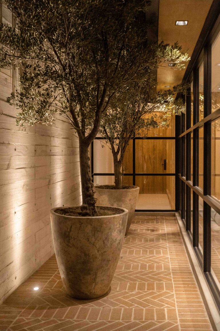 13 casa cenit dodo arquitectos